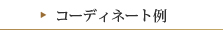 コーディネート例