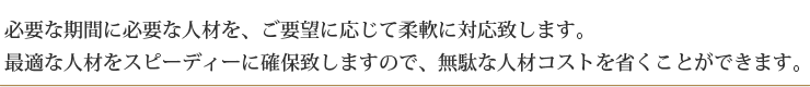 必要な期間に必要な人材を、ご要望に応じて柔軟に対応致します。最適な人材をスピーディーに確保致しますので、無駄な人材コストを省くことができます。